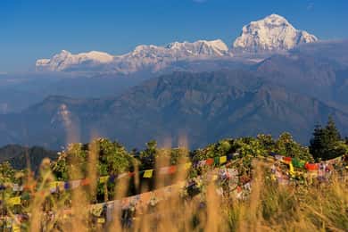 Pokhara:4-Day Ghorepani Poon Hill Guided Trek via Ghandruk