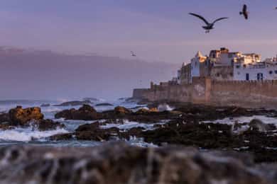 Marrakech: Essaouira Excursie de o zi întreagă