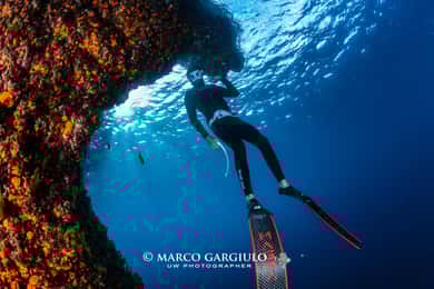 Freediving in the wild of the Amalfi Coast/Capri/Sorrento: