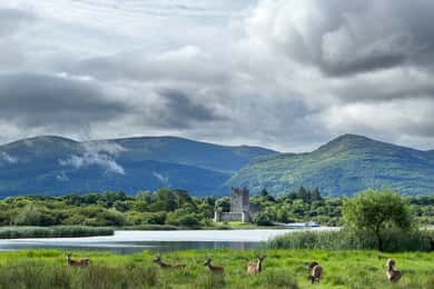 Killarney National Park Tour