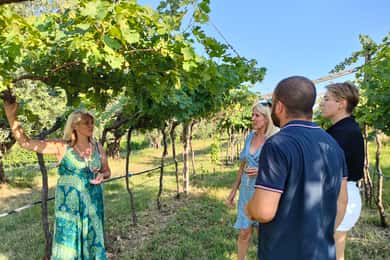 Cavaion: Lake Garda Wine & Food Tasting with Vineyard Tour