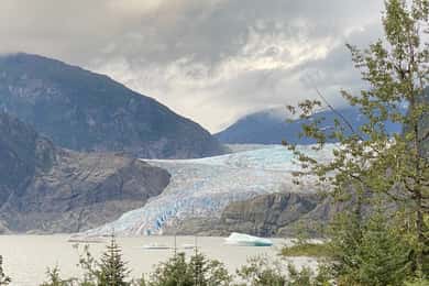 Juneau: Mendenhall Glacier and Whale Watching Tour