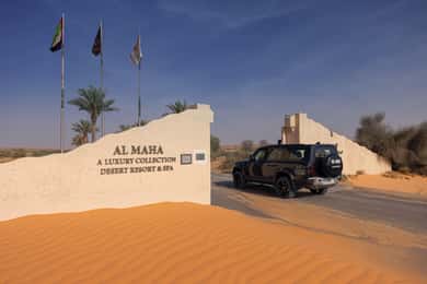Dubai: Turul Rezervației de conservare a deșertului cu mic dejun