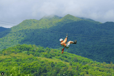 Puerto Rico: Yunque Ziplining i regnskoven