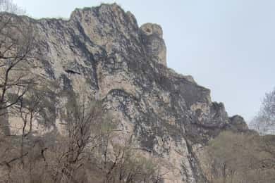 Fishing in the Dolomites: book your wild excursion!