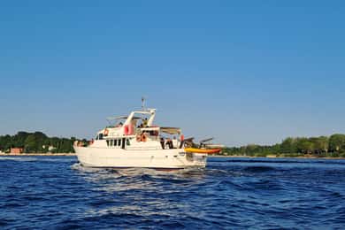 Umag: Bootsfahrt bei Sonnenuntergang mit Delfinbeobachtung