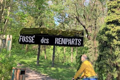 Strasbourg: Bike Tour with a Guide bikes included