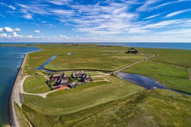 Von Nordstrand aus: Bootstour zur Hallig Hooge