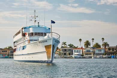 Newport Beach: Brunchbuffé eller middagskryssning på julafton