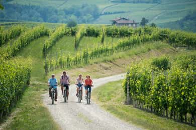 Hood River: All-Day E-Bike Rental