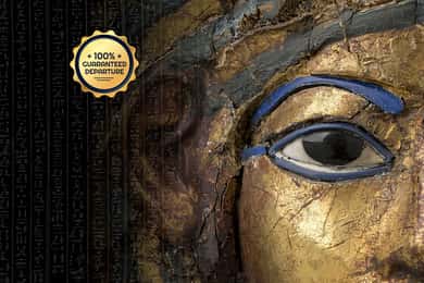 Guidet tur med en lille gruppe til det egyptiske museum uden kø