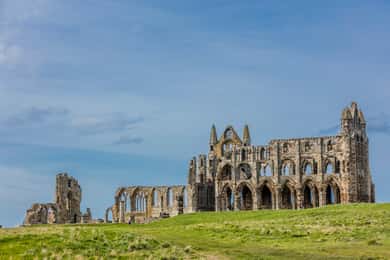 Whitby Abbey Ticket