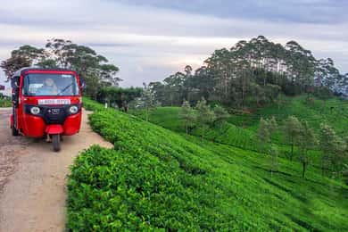 Jednodniowa wycieczka tuk tukiem z Kandy do Nuwara Eliya na Sri Lance
