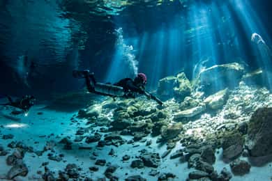 Duiken in 2 cenotes in een halve dag