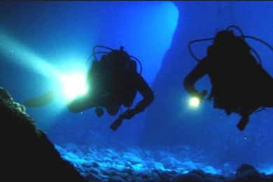 local scuba night dive