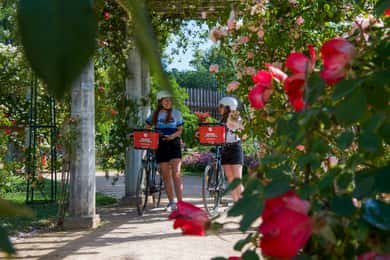 Explorez Lyon et le célèbre parc de la Tête d'Or en vélo électrique.