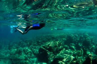 Nice: Snorkeltur med speedbåd i Villefranche-bugten