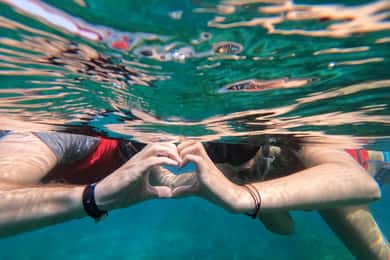 Fuerteventura: begeleid snorkelen in La Lajita met pick-up