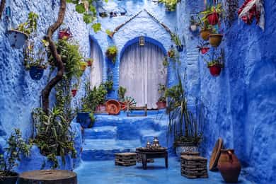 Memorable Day Trip From Fez to Chefchaouen the Blue City