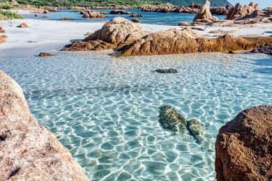 Olbia: Tauchen im Tavolara Marine Park auf Sardinien
