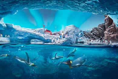 Yas Island: Ferrari World Entry Ticket