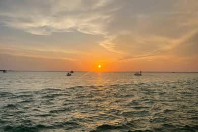 Florida: Emerald Coast Sunset & Dolphin Cruise with Guide