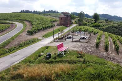 Afsmagning af vin fra Monferrato med besøg i kantinen