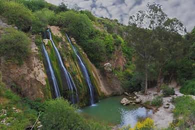 From Tel Aviv: Golan Heights ATV Action & Wine-Tasting Tour