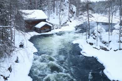 Von Ruka: Schneeschuhwandern im Oulanka-Nationalpark