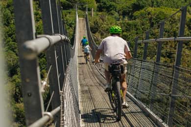 From Wellington: Remutaka Rail Trail eBike Tour