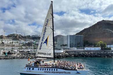Puerto Rico de Gran Canaria: Premium Dolphin Catamaran Tour