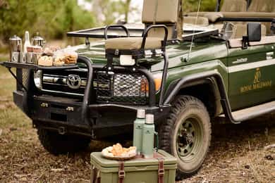 Vanuit Windhoek: 10-daagse privé-safari in Namibië met de Great Escape