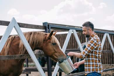 Horse Riding Through The Valleys + lunch