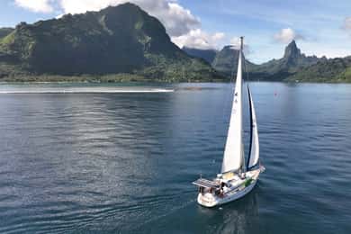 Moorea: private sunset sailing tour