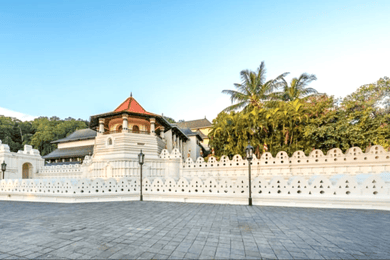 Colombo : Excursion à Kandy avec l'orphelinat d'éléphants de Pinnawala