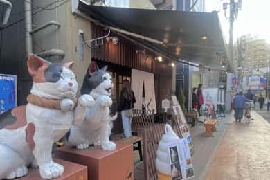 Tour a pie: Yanaka, Nezu y Sendagi: Ceremonia del Té y Tokio Antiguo