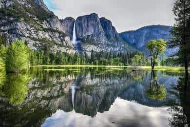 San Francisco: 2-Day National Park Tour with Yosemite Lodge