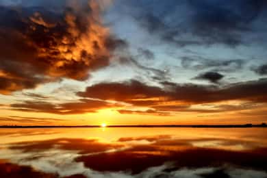 Le Grau du Roi: Half-Day Tour of Camargue