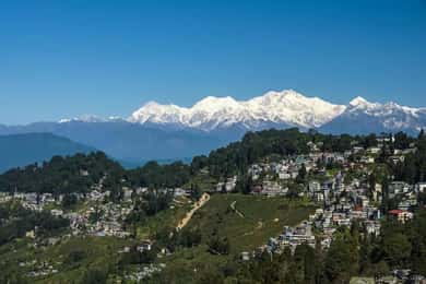 Desde Bagdogra: Tour del té del Himalaya