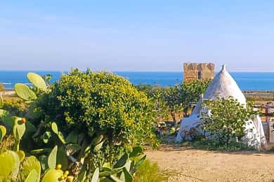 Bari: Tour Polignano Alberobello Matera (Private or Shared)