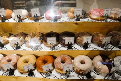 Harvard Square Donut & Coffee Adventure with Tastings