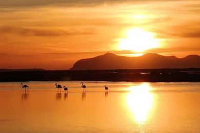 Trapani: Excursión a las Salinas al Atardecer y Camino de los Flamencos