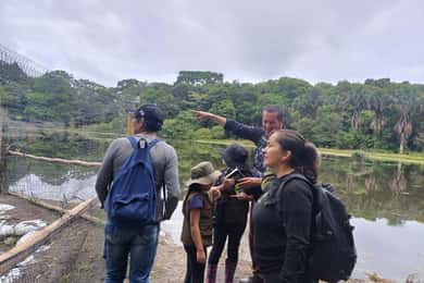 Observação de pássaros em Acacías Meta