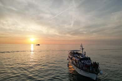 Poreč: Delfin-Safari bei Sonnenuntergang mit Abendessen und Getränken