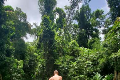 From San Juan: El Yunque Rainforest & Luquillo Beach Tour