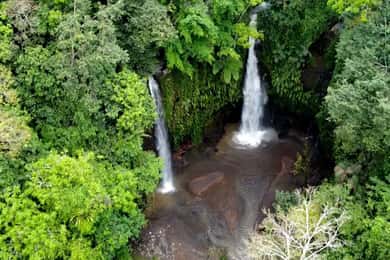 Lombok : Trip 4 Waterfalls,Hike through Rice Fields & Jungle