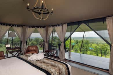 Da Nairobi: Safari di 5 giorni nel Masai Mara e a Naivasha