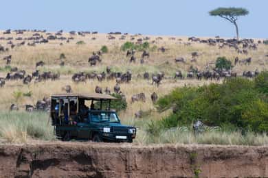 4 Days Masai Mara and Lake Nakuru Budget Safari