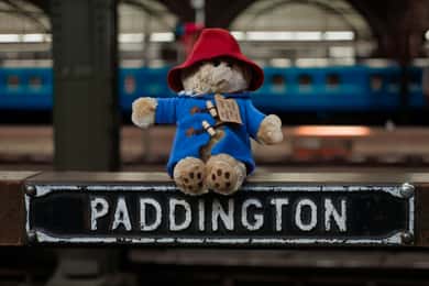 Paddington Bear Tour in London