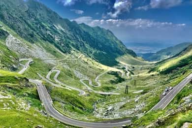 PREMIUM TOUR: Bears Safari on Transfagarasan Road